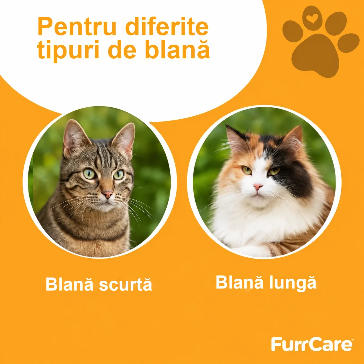 FurrCare pentru blană scurtă și lungă